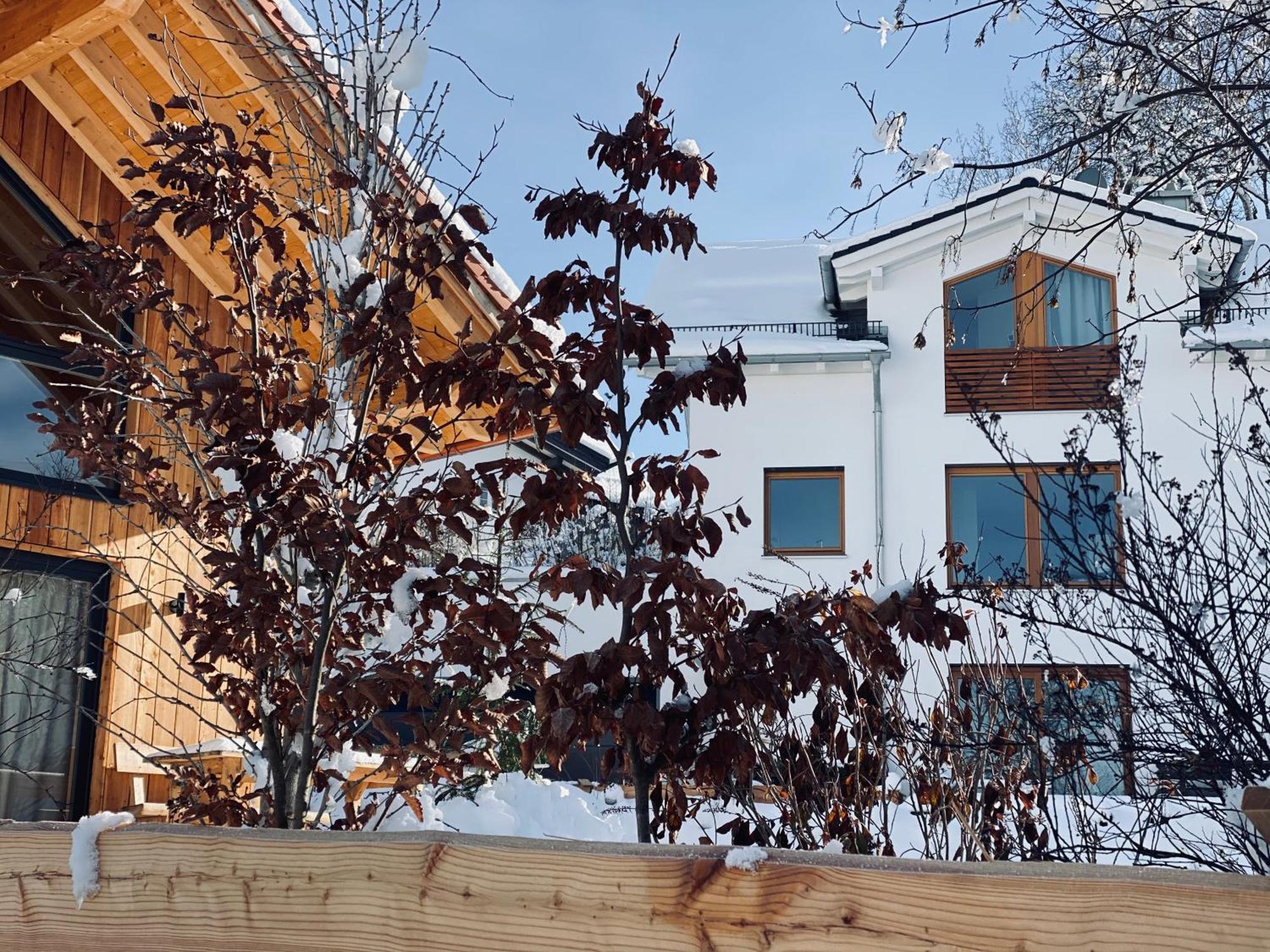 Schlossquelle Koenigsdorf Konigsdorf 외부 사진